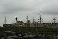 blijdorp 10-09 and extra 100 800x533