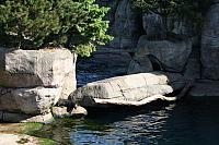 Blijdorp 001 800x533