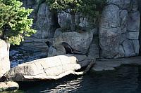 Blijdorp 003 800x533