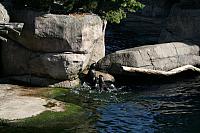 Blijdorp 010 800x533