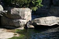 Blijdorp 011 800x533