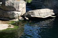 Blijdorp 012 800x533