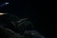 Blijdorp 021 800x533