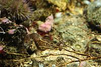 Blijdorp 041 800x533
