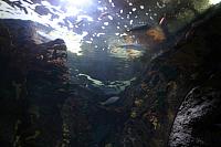 Blijdorp 045 800x533
