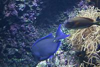 Blijdorp 051 800x533