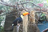 Blijdorp 061 800x533