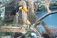 Blijdorp 064 800x533