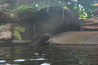 Blijdorp 070 800x533