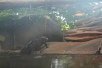 Blijdorp 072 800x533