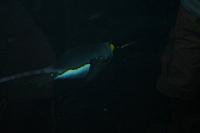 Blijdorp 082 800x533