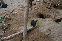 Blijdorp 089 800x533