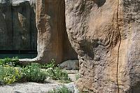 Blijdorp 102 800x533