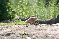 Blijdorp 122 800x533