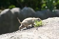 Blijdorp 143 800x533