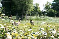 Blijdorp 151 800x533