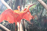 Blijdorp 170 800x533