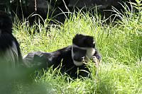 Blijdorp 200 800x533