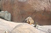 Blijdorp 254 800x533