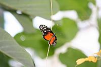 Blijdorp 318 800x533