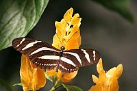 Blijdorp 320 800x533