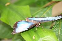 Blijdorp 327 800x533