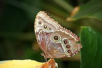 Blijdorp 328 800x533