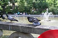 Blijdorp 349 800x533
