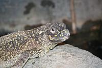 Blijdorp 356 800x533