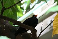 Blijdorp 364 800x533