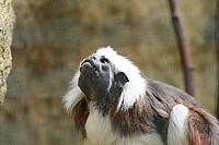 Blijdorp 370 800x533