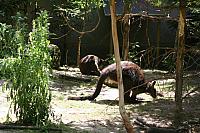 Blijdorp 401 800x533