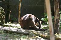 Blijdorp 402 800x533