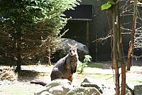 Blijdorp 406 800x533