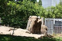 Blijdorp 469 800x533