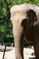Blijdorp 472 400x600