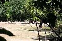 Blijdorp 508 800x533