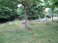 IMG 0927 800x600