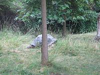 IMG 0928 800x600