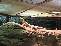 IMG 0933 800x600