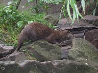 IMG 0940 800x600