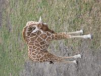 IMG 0951 800x600