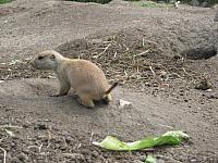 IMG 0961 800x600