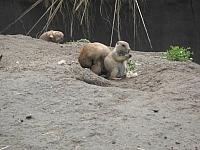 IMG 0962 800x600