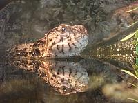 DSCF1538 800x600