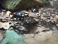 DSCF1542 800x600