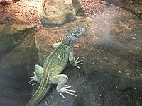 DSCF1577 800x600