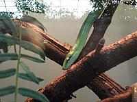 DSCF1603 800x600