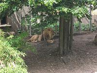 DSCF1611 800x600