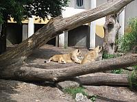 DSCF1612 800x600